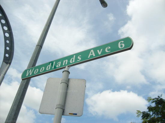 Woodlands Avenue 6 #76572
